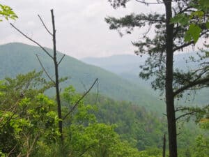 Misty morning view of the Great Smoky Mountains from a mountain trail overlook