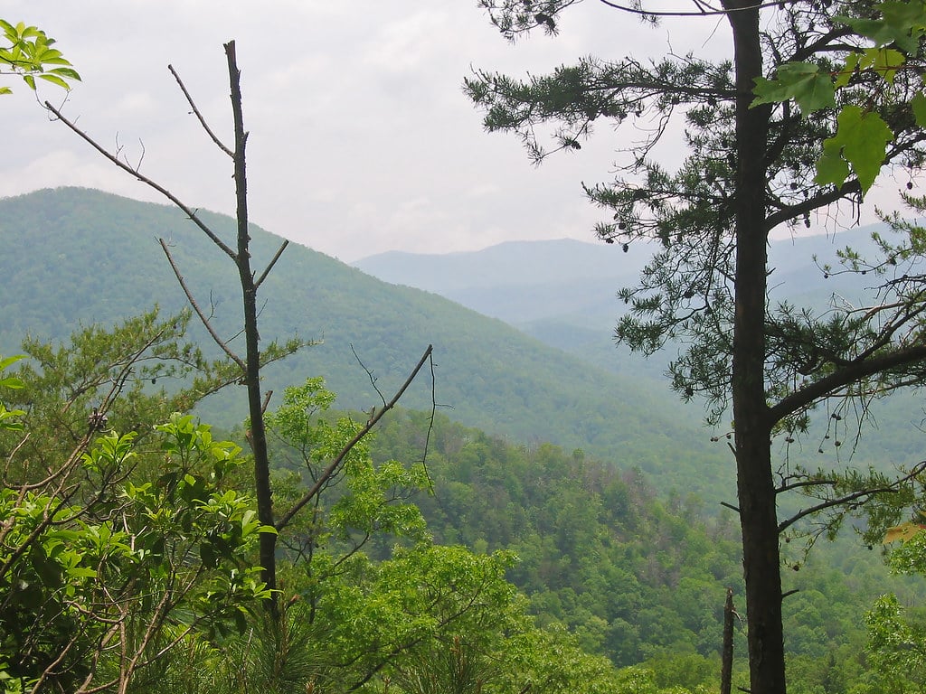 Misty morning view of the Great Smoky Mountains from a mountain trail overlook