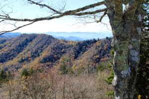 Panoramic view of Smoky Mountains covered in red and gold autumn foliage
