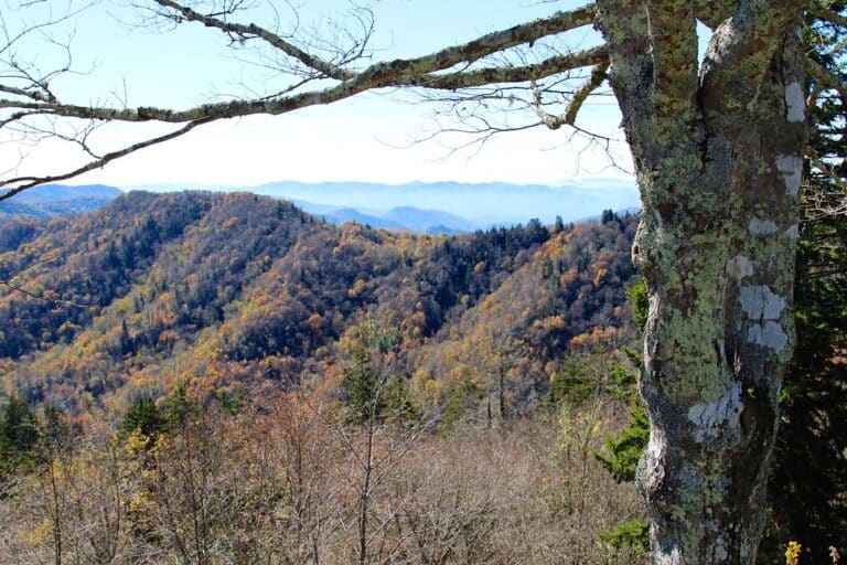 Panoramic view of Smoky Mountains covered in red and gold autumn foliage