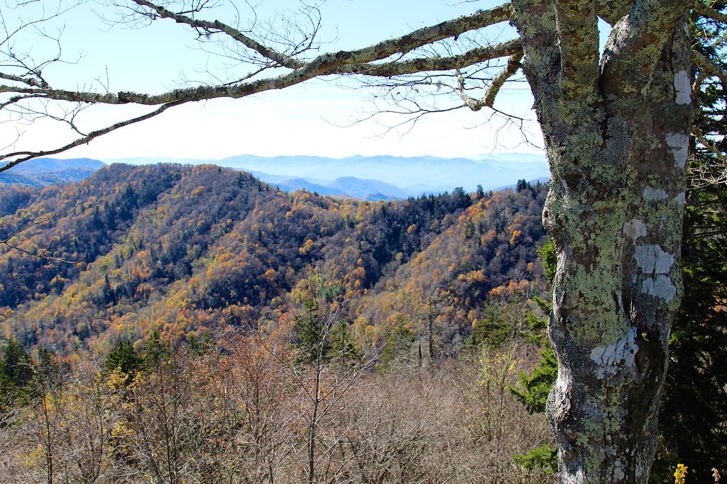 Panoramic view of Smoky Mountains covered in red and gold autumn foliage