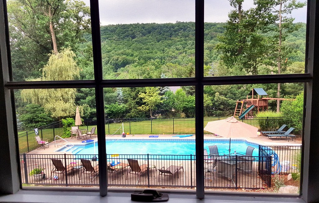Sunny backyard with bright blue heated swimming pool surrounded by loungers