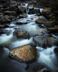 Misty trail through Great Smoky Mountains National Park in autumn