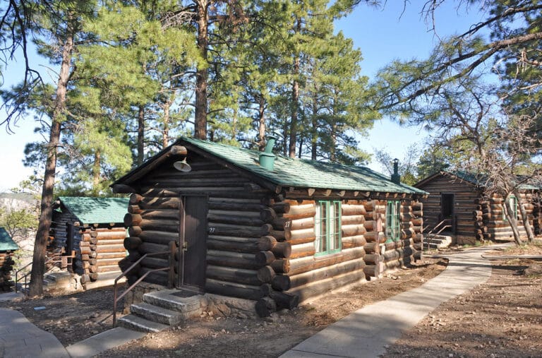 Rustic wooden cabin nestled among pine trees in a mountain forest
